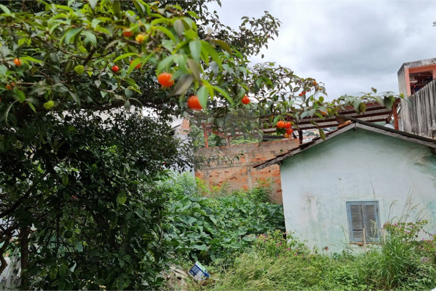 Terreno à venda em Lauzane Paulista, São Paulo, SP