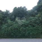 Terreno à venda em Serra da Cantareira, Mairiporã, SP