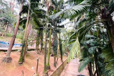 Terreno à venda em Tucuruvi, São Paulo, SP