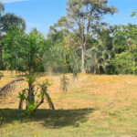 Terreno à venda no condomínio Residencial Colinas de Inhandjara, Itupeva - SP
