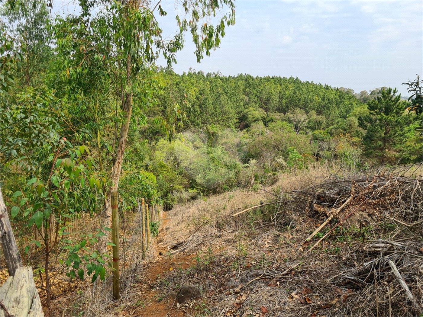 Ribeirão Grande - Bairro ferreira dos Matos - Sítio de 30.000 metros - R$ 600.000,00