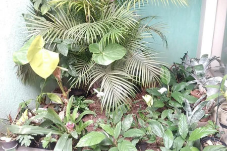 Sobrado à venda com 5 suítes em Jardim Franca, São Paulo, SP