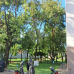 Apartamento à venda com 2 quartos em Parque Residencial Lagoinha, Ribeirão Preto, SP