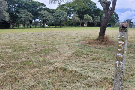 Loteamento Residencial no Condomínio Vila Pinhal do Broa.