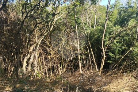 Terreno à venda em Vila Rosa, Itapetininga, SP