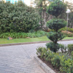 Apartamento à venda com 2 quartos, sendo 1 suíte, em Moema, São Paulo, SP
