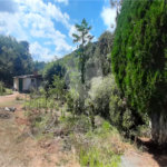 Casa à venda com 2 quartos em Serra da Cantareira, Mairiporã, SP