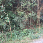 Terreno à venda no condomínio Associação Reserva das Hortênsias, Mairiporã - SP
