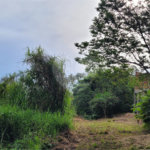 Terreno à venda em Barreiro, Mairiporã, SP
