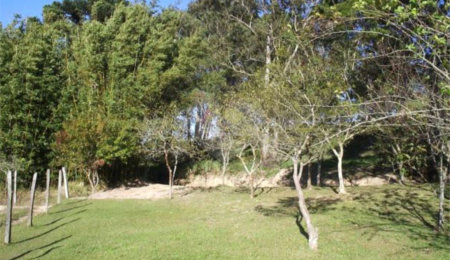 Terreno à venda em Vila Darcy Penteado (mailasqui), São Roque, SP