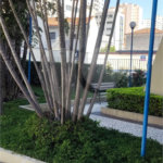Apartamento à venda com 1 quarto em Cambuci, São Paulo, SP