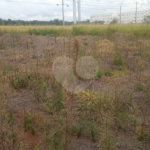 Lote no Jardim do Bosque, aceita financiamento ou aquisição de terreno e construção .
