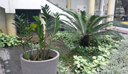 Apartamento à venda com 3 quartos, sendo 1 suíte,  em Vila Monumento, São Paulo, SP