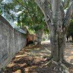 Terreno à venda em Interlagos, São Paulo, SP