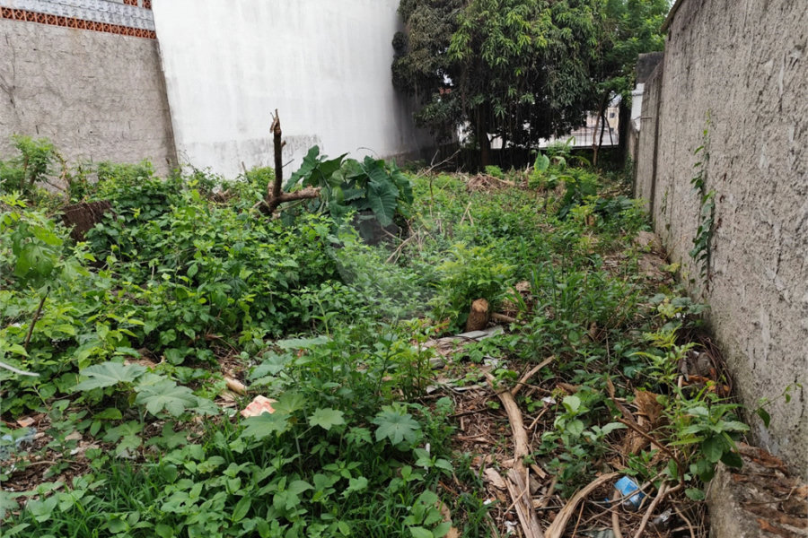 Terreno à venda com 1 suíte em Vila Constança, São Paulo, SP