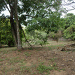 Terreno à venda em Pinheirinho, Vinhedo, SP