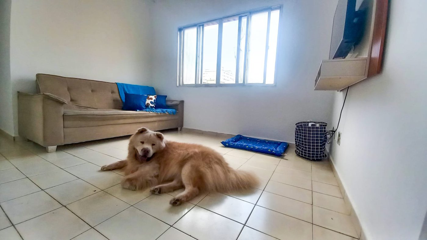 🏖️ Apartamento à Venda – Ocian, Praia Grande – 1 Dormitório a 400m da Praia!