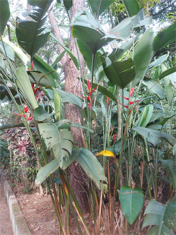 Área de Terra à venda em Éden, Sorocaba, SP