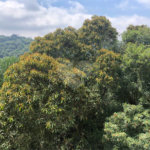 Casa à venda com 5 suítes no condomínio Alpes da Cantareira, Mairiporã - SP