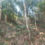 Terreno à venda em Serra da Cantareira, Mairiporã, SP