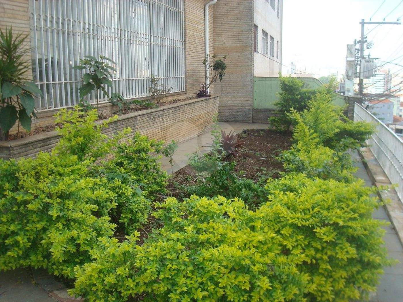 Casa à venda com 3 quartos em Jardim São Paulo(zona Norte), São Paulo, SP