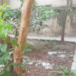 Sobrado à venda com 3 quartos, sendo 1 suíte, em Vila Nova Cachoeirinha, São Paulo, SP