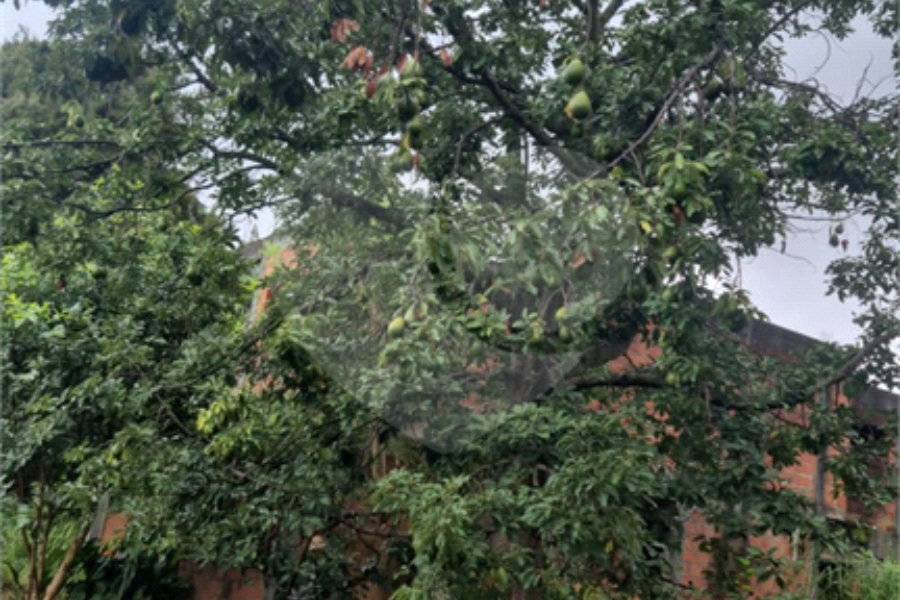 Terreno à venda ou para alugar em Horto, São Paulo, SP