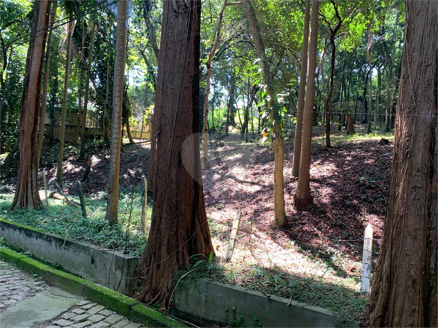 Terreno à venda no condomínio Chácara Flora, São Paulo - SP