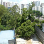 Apartamento à venda com 3 quartos, sendo 1 suíte, em Vila Suzana, São Paulo, SP