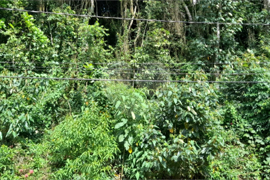 Terreno à venda em Roseira, Mairiporã, SP