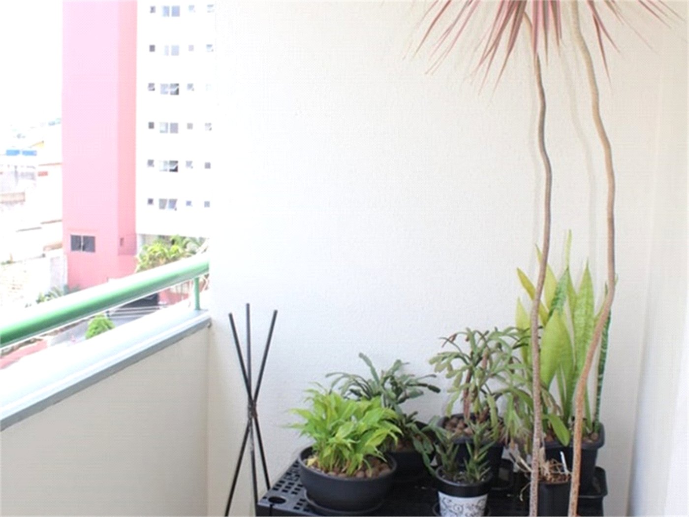 Apartamento à venda com 2 quartos em Casa Verde, São Paulo, SP