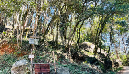 Terreno à venda em Jundiaizinho (terra Preta), Mairiporã, SP