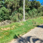 Terreno à venda em Serra da Cantareira, Mairiporã, SP