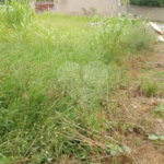 Terreno à venda em Pinheirinho, Vinhedo, SP
