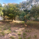 Chácara à venda com 3 quartos, sendo 1 suíte, no Centro, Porangaba, SP