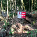Terreno à venda em Serra da Cantareira, Mairiporã, SP