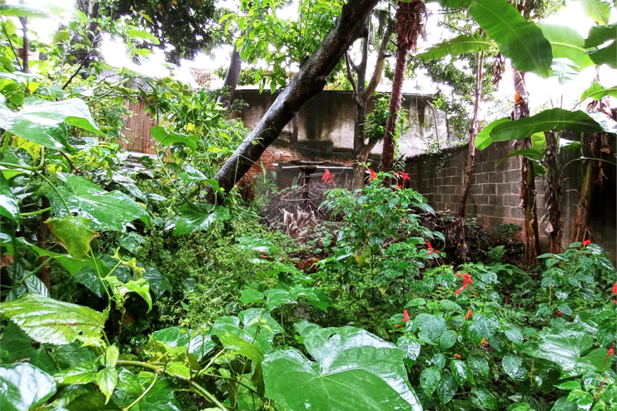 Casa Térrea à venda com 3 quartos em Tremembé, São Paulo, SP