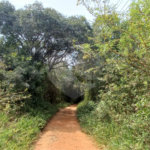 Terreno à venda em Anhanguera, São Paulo, SP