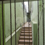 Sobrado à venda com 3 quartos, sendo 1 suíte, em Jaçanã, São Paulo, SP