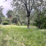 Terreno à venda em Loteamento Terras de São Pedro e São Paulo, Salto, SP