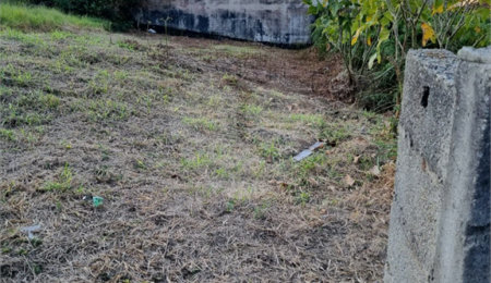 Terreno à venda em Vila Oliveira, Mogi das Cruzes, SP