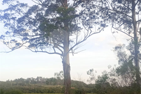 Terreno à venda em Jardim Camargo (canguera), São Roque, SP
