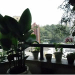 Apartamento à venda com 3 quartos, sendo 1 suíte,  em Vila Andrade, São Paulo, SP