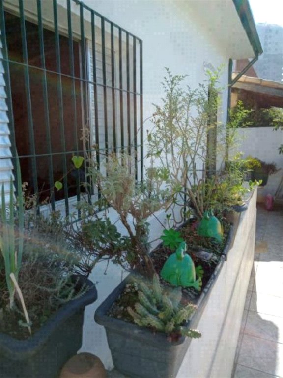 Sobrado à venda com 3 quartos, sendo 1 suíte, em Vila Paulicéia, São Paulo, SP