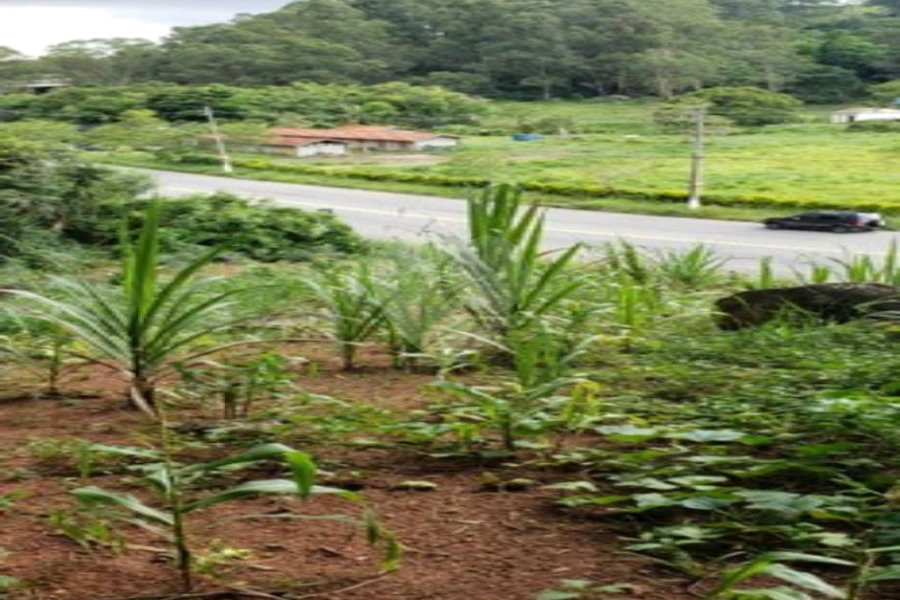Terreno à venda em Horto, São Paulo, SP