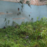 Terreno à venda, 1098 m² por R$ 4.000.000,00 - Centro - Santos/SP