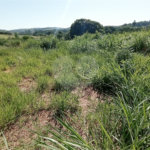 Terreno à venda em Pinheirinho, Vinhedo, SP