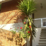 Casa Térrea à venda com 3 quartos, sendo 1 suíte, em Tremembé, São Paulo, SP