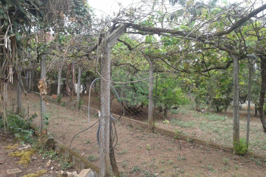 Terreno à venda em Horto Florestal, São Paulo, SP