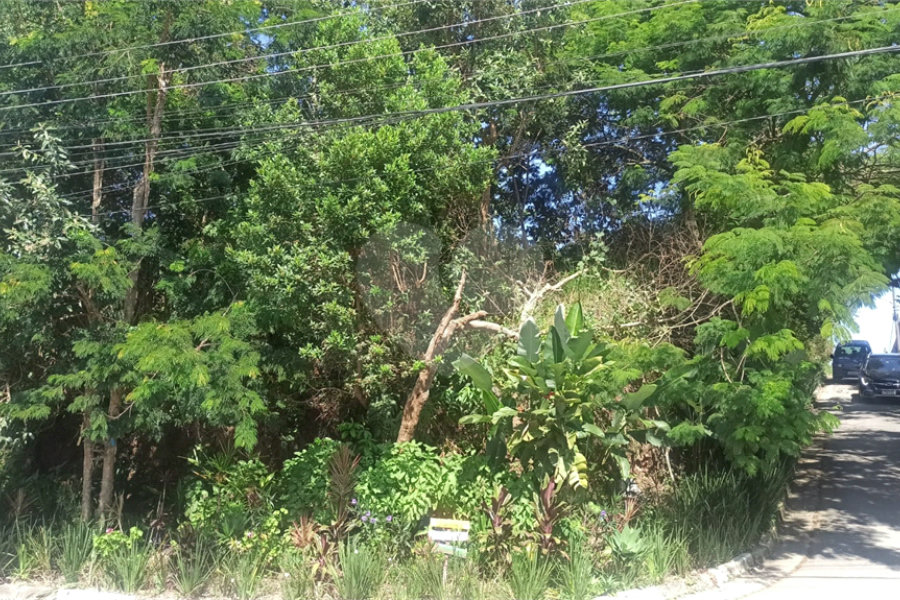 Terreno à venda no condomínio Altos da Baronesa, São Paulo - SP